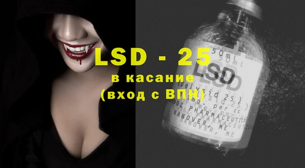 ГАЛЛЮЦИНОГЕННЫЕ ГРИБЫ Беслан