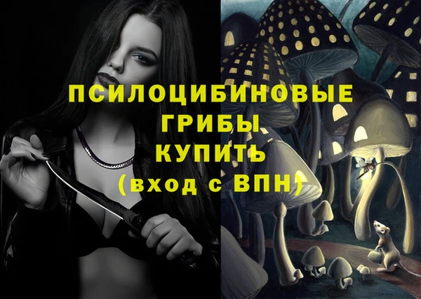 дурь Алексеевка