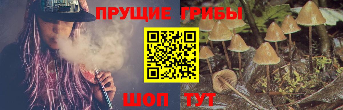 Псилоцибиновые грибы ЛСД  Галлюциногенные грибы ЛСД  купить   Тамбов  Вход с VPN 
